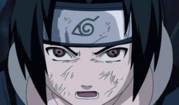 哪里能看火影最新爆料,最新爆料揭秘，神秘新篇章即将开启！